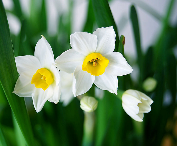 ʻģɽɣ ,ʻ,ɽ, Ͻ 200127jdjb7a497ob4adl7