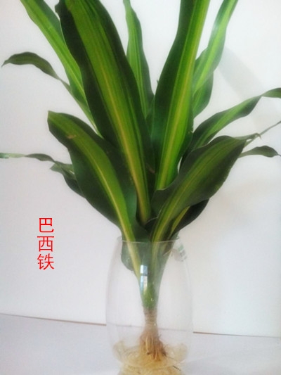 ͼд⡿߾ףǣ ͼ,д,߾, Ͻ 181822umm7hqr7hrc7354m