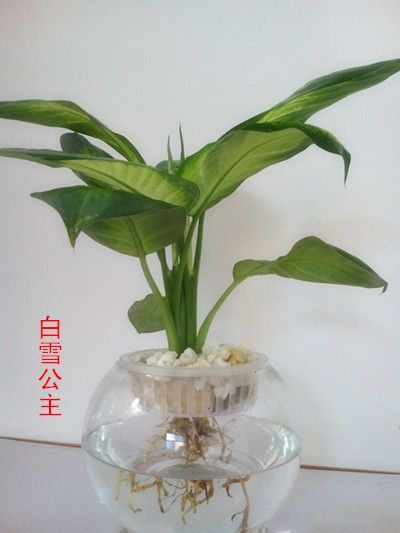 ͼд⡿߾ףǣ ͼ,д,߾, Ͻ 181823w3aythweeuayhez3