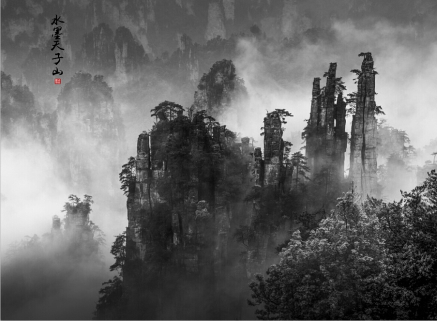 ֻֻΪԼ ֻ,ֻΪ,,Լ ִʫ 064611akwmk9lm0sbnmwzn