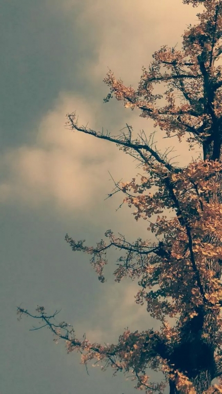   ִʫ 210314zhddoiap4kaz44p6