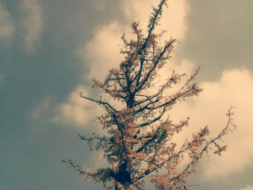   ִʫ 210316hpbgzppwbri114ri