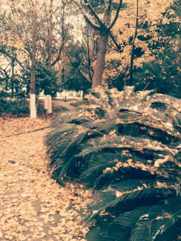   ִʫ 210317h3ci1salvq01lrci