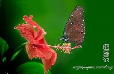   Ͻ 221521odqdyk1qvkfdveyt