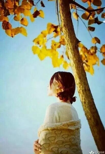 平凡的世界 现代诗歌 平凡的世界 174805mjz284denj008u8l 1 平凡的世界 平凡的世界 现代诗歌 174805mjz284denj008u8l