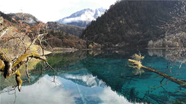 ʦ.ҵѧʱ//ɬӰ ʦ,ҵ,ѧʱ,ʱ ִʫ 173136o0odnzxzvo0nv4ve