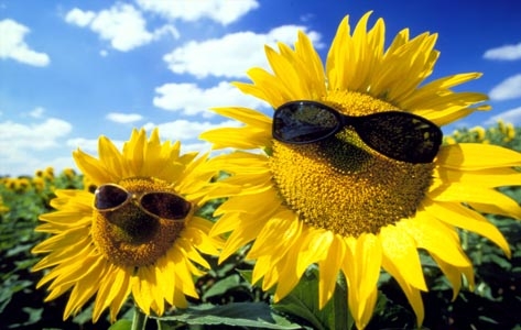   ִʫ 083118cf49q7sj44fdu905