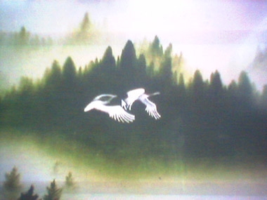   ִʫ 100630aoabzvioo5qsicqq