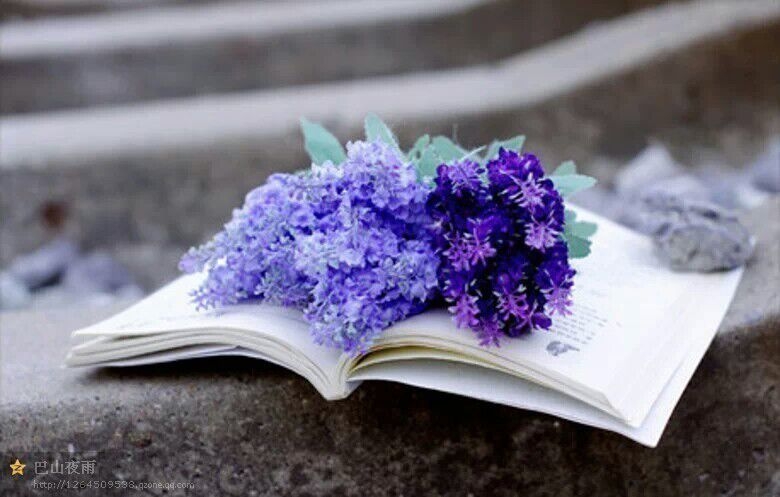 ҹ ҹ ִʫ 130201n1506m1d9wcd127q