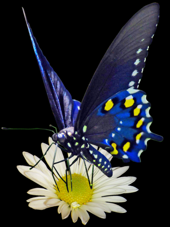 ҵҪһǧλʦ  ף ҵ,Ҫ,ʦ ִʫ 151046n0avw5w162i6wi2h