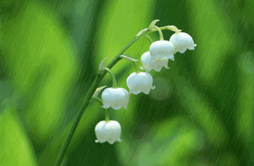 ҹ  ѩ÷ ҹ ִʫ 151525quhtaifai074ni7q