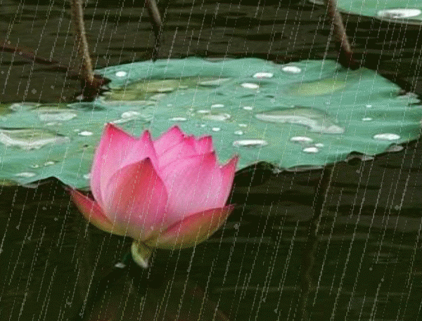 һף ,һ ִʫ 151540lvgb0hdy66670vgj