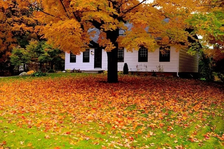 初冬写意 现代诗歌 初冬,写意 115454cxzu3t9qa88uqyax 1 初冬写意 初冬,写意 现代诗歌 115454cxzu3t9qa88uqyax