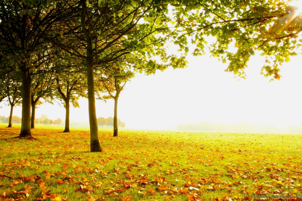 一笺秋来的心语 现代诗歌 秋来,心语 115844tun12c4t2sg0ncs1 1 一笺秋来的心语 秋来,心语 现代诗歌 115844tun12c4t2sg0ncs1