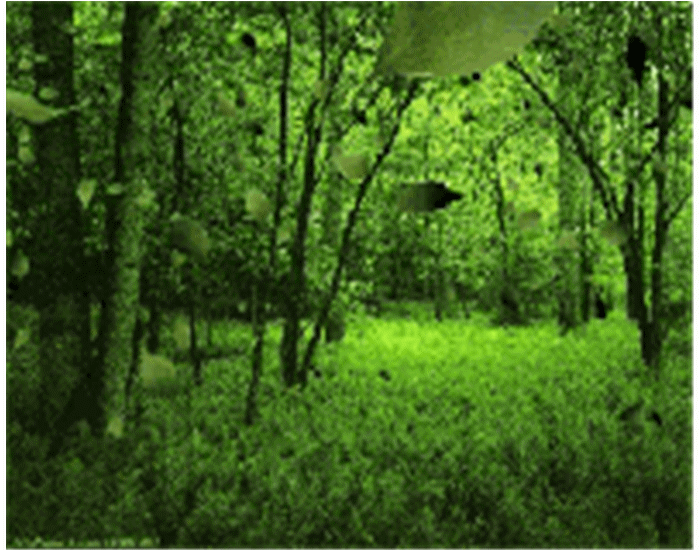   ִʫ 214526szz98w8yiwijx5ii