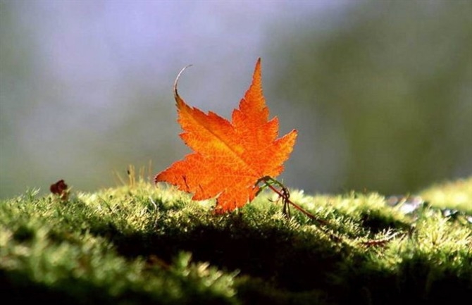 ǳ  Ͻ 094810vyy0y7pm10d1dnyn