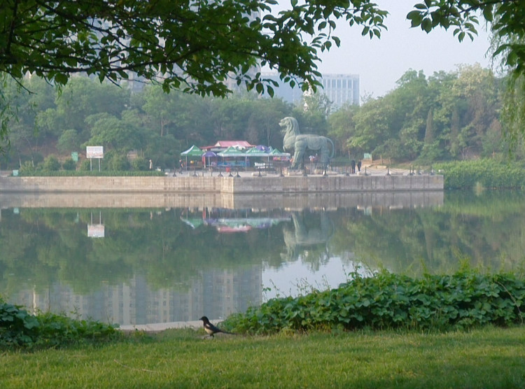 ߾ ߾ Ͻ 195749twwjbzf0yhb1jp0b