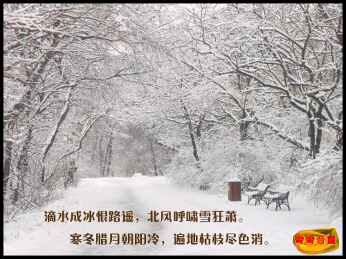 ߾ѩ ߾,ѩ, Ͻ 182043kd7akp9y9pnzspmb