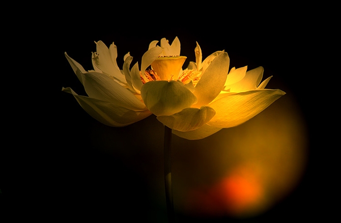 ɡ ,, Ͻ 192936mpkd71mlfko94ofb