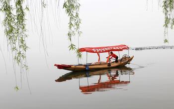 七绝·春晓 古韵今诵 七绝,春晓 172839n7bjqt0ffttvtaj0 1 七绝·春晓 七绝,春晓 古韵今诵 172839n7bjqt0ffttvtaj0