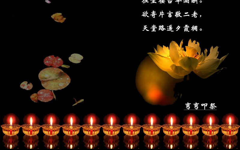 ͼġ  Ͻ 204853lv16myh1apppg1ha