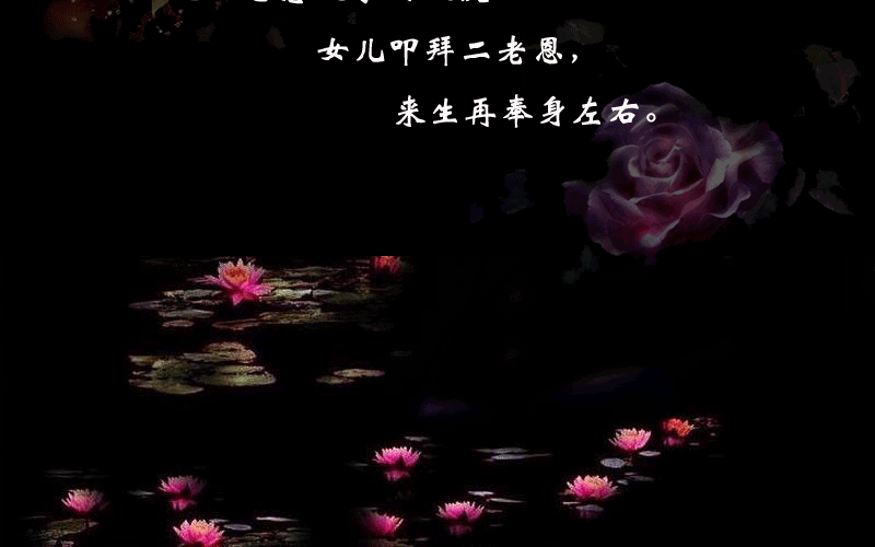 ͼġ  Ͻ 204855jzp9qjgs9bjdc2nd