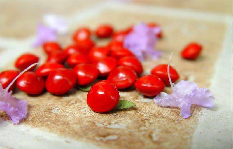 춹 ,,춹 ִʫ 201229g63nly3rs37s63s3