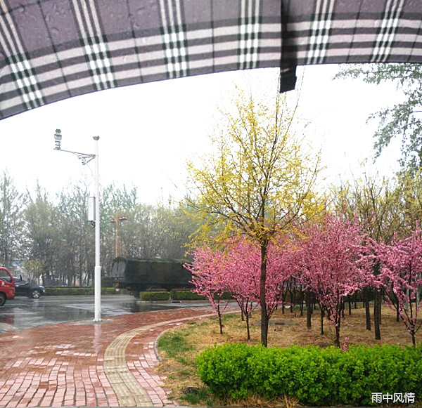 七绝·雨中漫步 古韵今诵 七绝,雨中漫步 173748hwnrpy4gl3rgllrz 1 七绝·雨中漫步 七绝,雨中漫步 古韵今诵 173748hwnrpy4gl3rgllrz