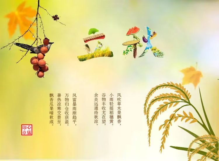 ߾ס ߾, Ͻ 110636rn53gc28w55k5355