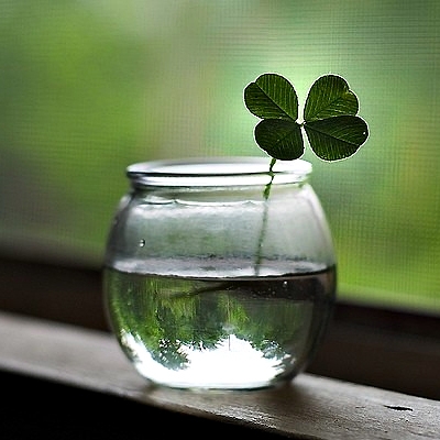 岁月如歌 散文随笔 岁月如歌 153238des4f4f45g9644zf 1 岁月如歌 岁月如歌 散文随笔 153238des4f4f45g9644zf