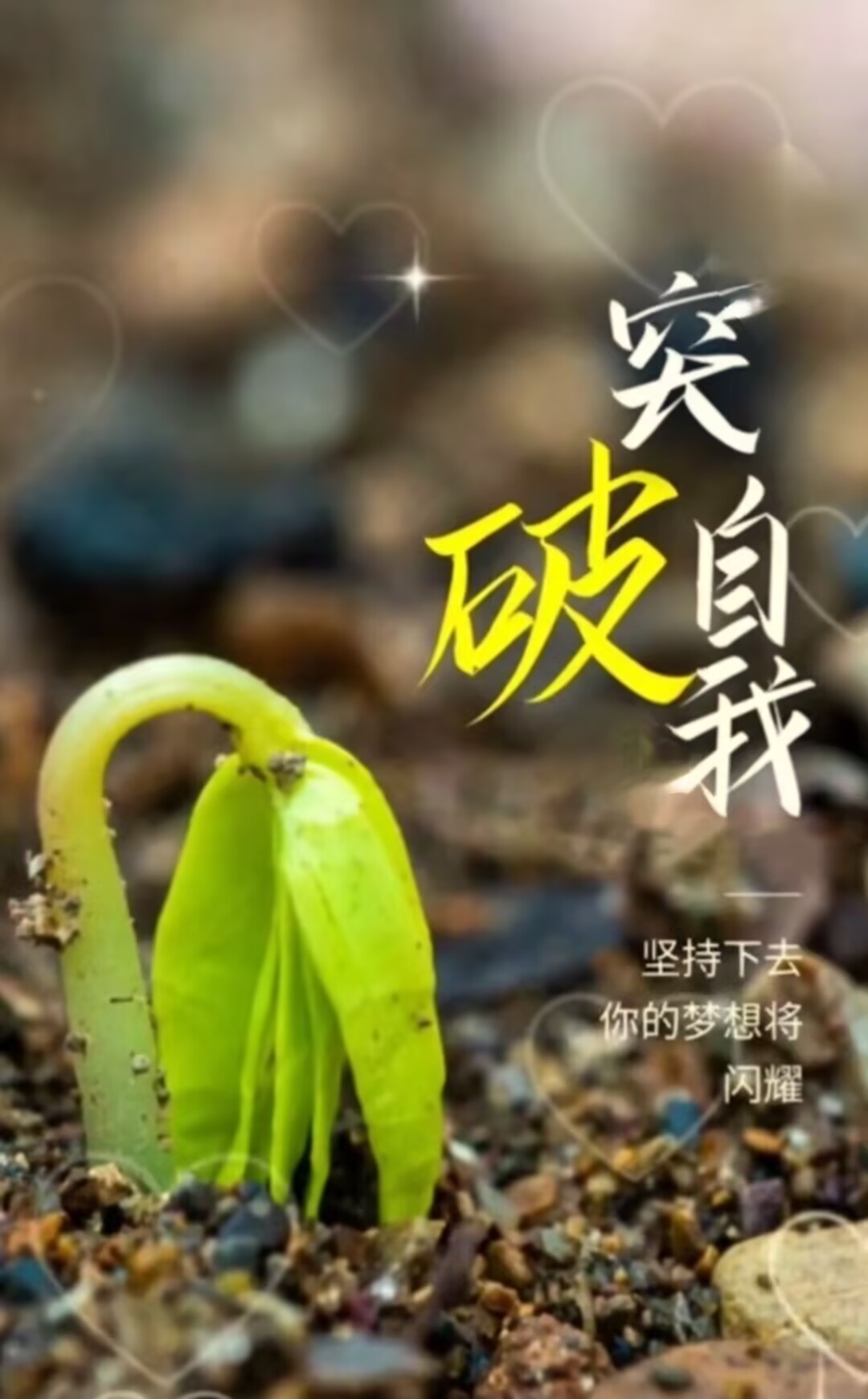 七律·观芽悟志 古韵今诵 215256yy24egzyzvdneezh 1 七律·观芽悟志 古韵今诵 215256yy24egzyzvdneezh