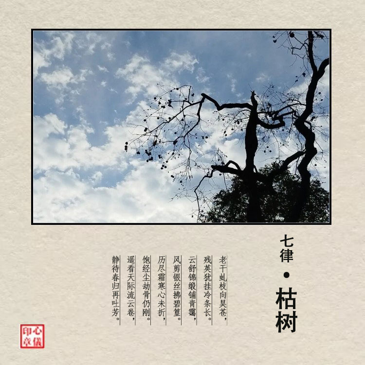 ���ɡ���������  ���Ͻ��� 204011izea1dde11redadd