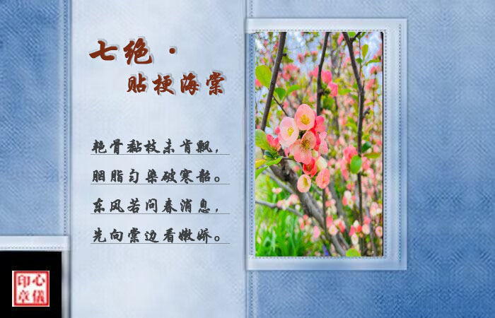 �߾�����������  ���Ͻ��� 204300onlm0gdingn3ggnp