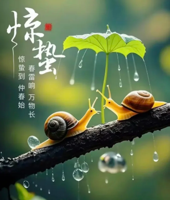 ���ɡ�����ʱ��  Ͷ��ר�� 195228j6h7cclrzpccks7i