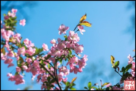 ���ɡ���ů����  ���Ͻ��� 212619e0zavfsefa4lvl9l