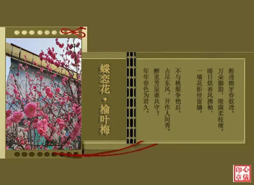 ����������Ҷ÷  Ͷ��ר�� 204953kin6ytt000txyn0q