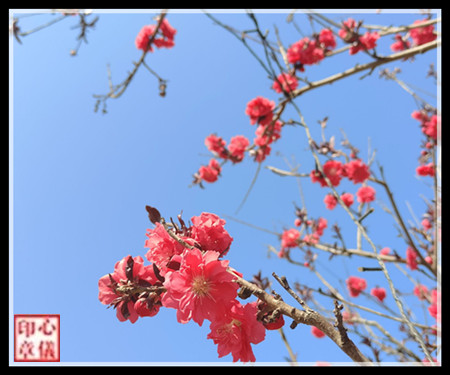 ���ɡ����Ҵ�ʢ  Ͷ��ר�� 160730y4rgfdtfovgz9ofo