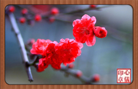 ���ɶ��ס���÷  ���Ͻ��� 150841of06vm5c0vqa660v