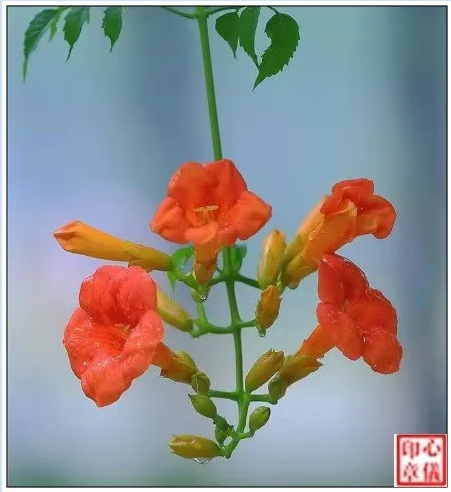 ���ɡ�������  ���Ͻ��� 215332tk3kk69kneukaw36
