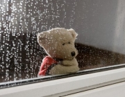 夏天的雨