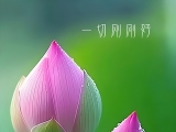 һ�иոպ�