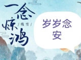 一念惊鸿,岁岁念安