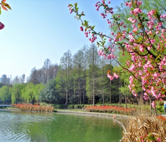 ����ǣ��ů����