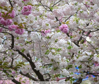 ӣ����������Ũ