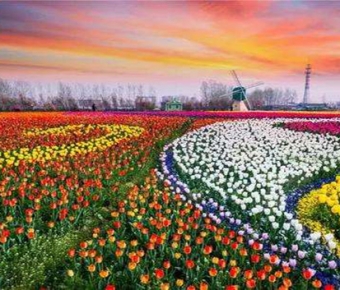 ������Ҿ�ϲ