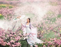 寻找你 十里桃林