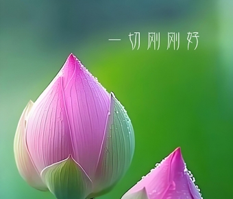 һ�иոպ�