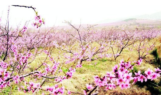 һЦ һ, ƪС˵ 143603zt15qdthm8d75f99