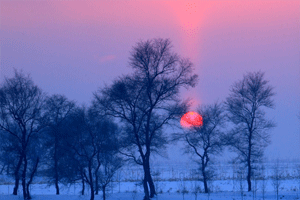    ڡ   ִʫ 220715isaaasxs8538fz8z