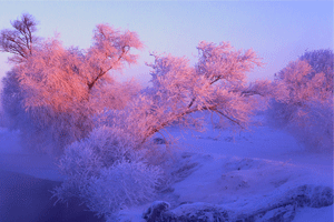    ڡ   ִʫ 220716ciiyjic9bcxnzcyi